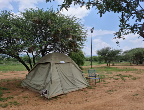 Tent-2